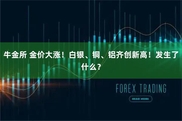 牛金所 金价大涨！白银、铜、铝齐创新高！发生了什么？